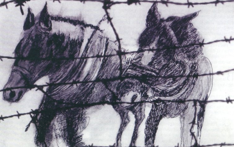 John Madott's pen & ink: Horses width=